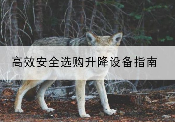 黔南升降货梯厂家推荐-*安全选购升降设备指南