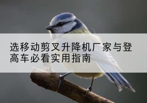 黔南电动升降机厂家-选移动剪叉升降机厂家与登高车必看实用指南